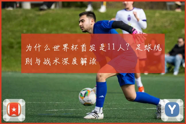 为什么世界杯首发是11人？足球规则与战术深度解读