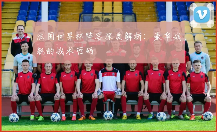 法国世界杯阵容深度解析：豪华战舰的战术密码