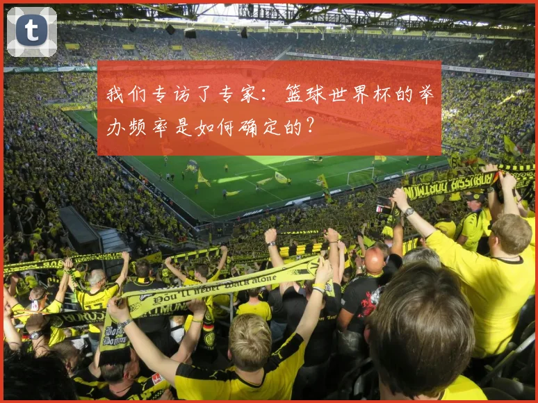 我们专访了专家：篮球世界杯的举办频率是如何确定的？